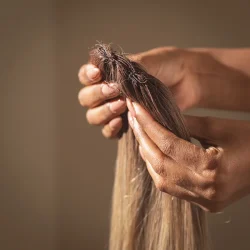 ⁦צמיד שיער - בלונד גוונים שורש חום בהיר⁩ – תמונה ⁦3⁩